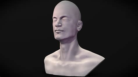 Head Sculpture - 3D model by MarkusProud [ad6d28b] - Sketchfab