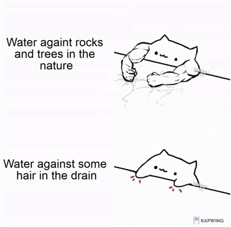 Water | Bongo Cat | Know Your Meme