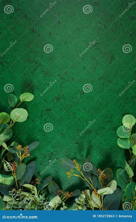 Dark Green Aesthetic Nature Theme Creative Layout Flat Lay Background ...