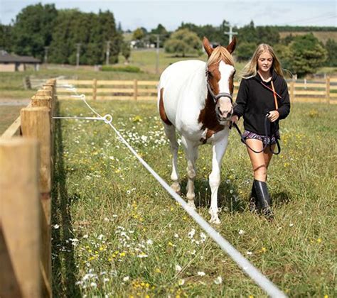 Constructing the right electric fence for your horses