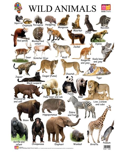 Wild Animals Clipart With Names