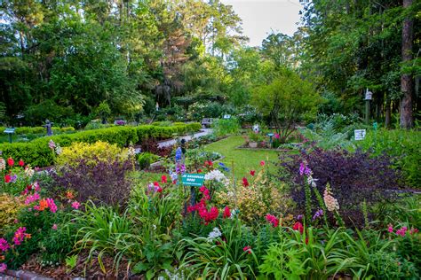 Spring is in Bloom at the Savannah Botanical Gardens | Botanical ...