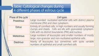 Estrous Cycle and Its Hormonal Regulation | PPT