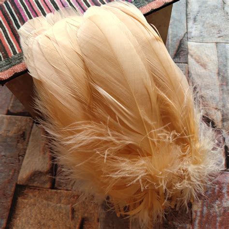 100pcs Natural Goose Feathers Skin Color Loose Goose feathers 12 20cm ...