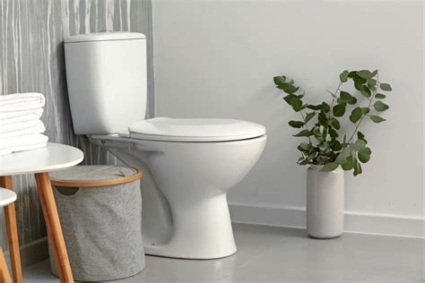 Types Of Modern Toilet - BEST HOME DESIGN IDEAS