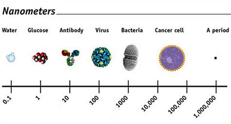 NanoMeter-Scale | Biotoxin Journey