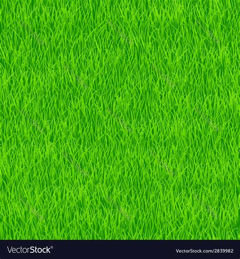 Grass pattern Royalty Free Vector Image - VectorStock