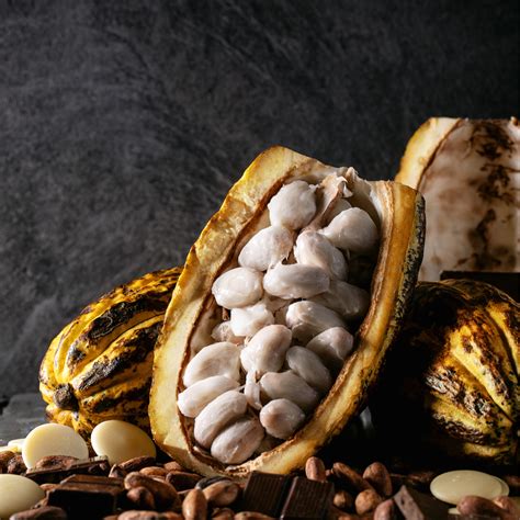 What Are The Health Benefits Of Good Quality Raw Cacao? — Super Vital Foods