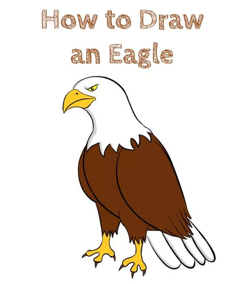 How to Draw an Eagle Easy - How to Draw Easy | Eagle drawing, Drawing ...