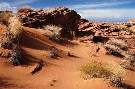 10 Interesting Desert Biome Facts | My Interesting Facts