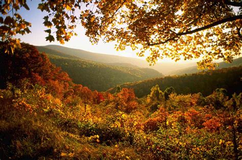 15 Best Destinations To See Brilliant Fall Leaves In The South