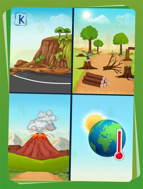 Deforestation Effects Diagram