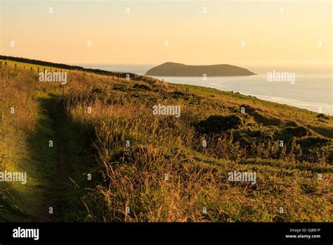 Cardigan Island viewed from the Ceredigion Coastal Path Stock Photo - Alamy