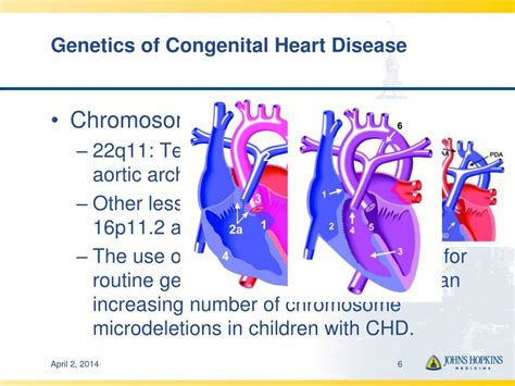 PPT - Genetics and Biomarkers in Congenital Heart Disease PowerPoint ...