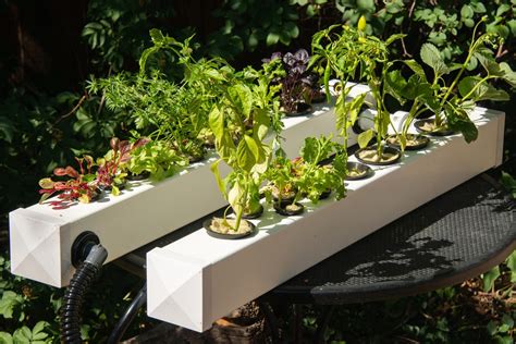 How To Make a DIY Hydroponic Garden | The Family Handyman