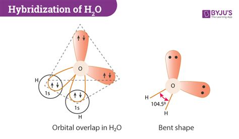 H2O Lewis Structure - Drawing Method of H2O Lewis Structure, Molecular ...