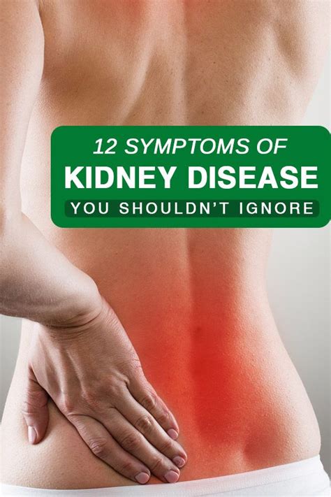 We bring you a very valuable article telling you about 12 symptoms of ...