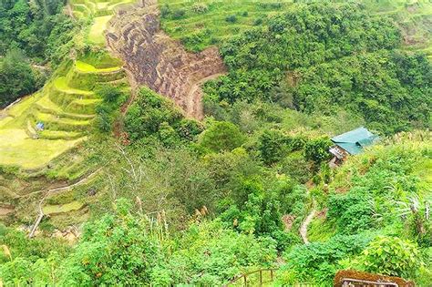 Ifugao Rice Terraces in critical stage of deterioration: UN food agency ...