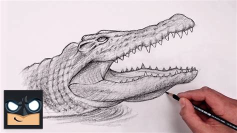 Discover 79+ sketch of a crocodile best - seven.edu.vn