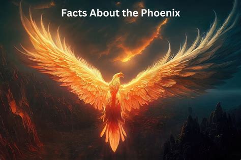 10 Facts About the Phoenix - Have Fun With History