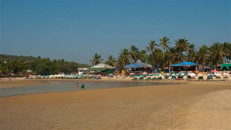 Baga Beach - Best Spot in Goa - Travel Time Mag