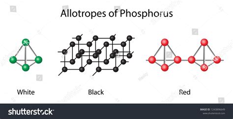 Phosphorus Images, Stock Photos & Vectors | Shutterstock