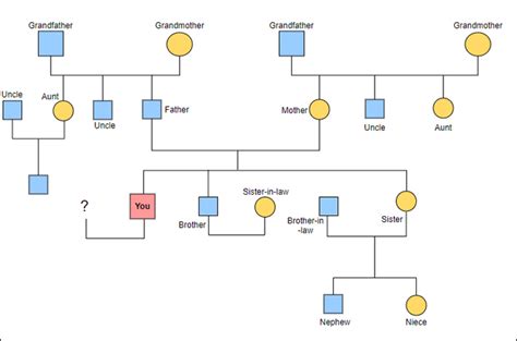 Simple Genogram Examples and Templates Free to Download