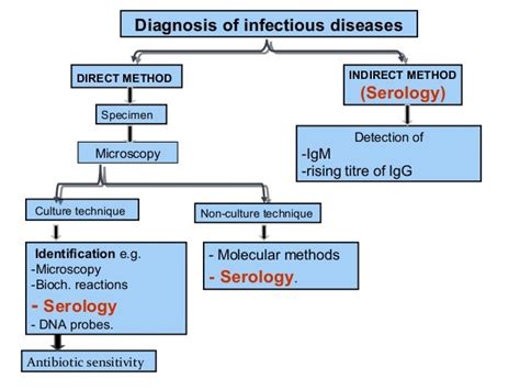 Serology - Prac. Microbiology