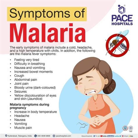 What Causes Malaria Disease