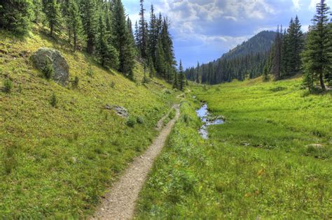 Narrow Path at Rocky Mountains National Park, Colorado image - Free ...