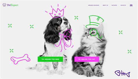 Introducing The All-New Pet Insurance Provider