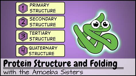 Protein Structure and Folding - YouTube