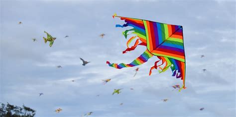 National Kite Flying Day in 2025/2026 - When, Where, Why, How is ...