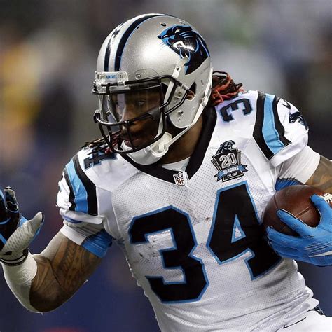 DeAngelo Williams Should Remain a Part of Panthers Backfield for One ...