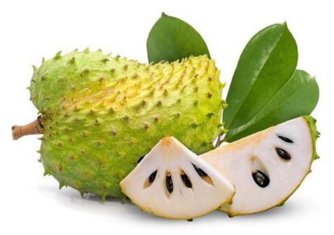 Soursop | කටු අනෝදා | Ceylon Green Market