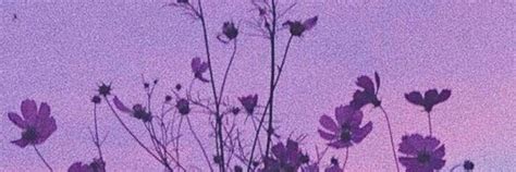 header in 2023 | Twitter header aesthetic, Dark purple aesthetic ...