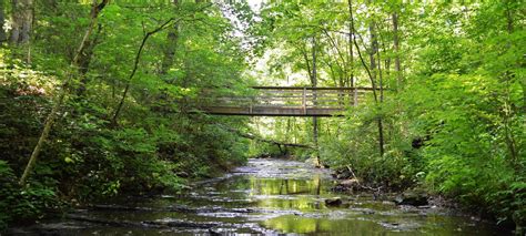 Walking Through Summer: Mid-Summer at Beaman Park, TN