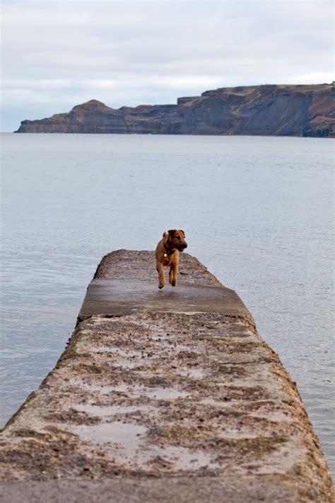 Runswick Bay - Photo "Runswick Bay" :: British Beaches