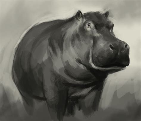 Quick sketch of Hippo with step by step, | DIY | Pinterest