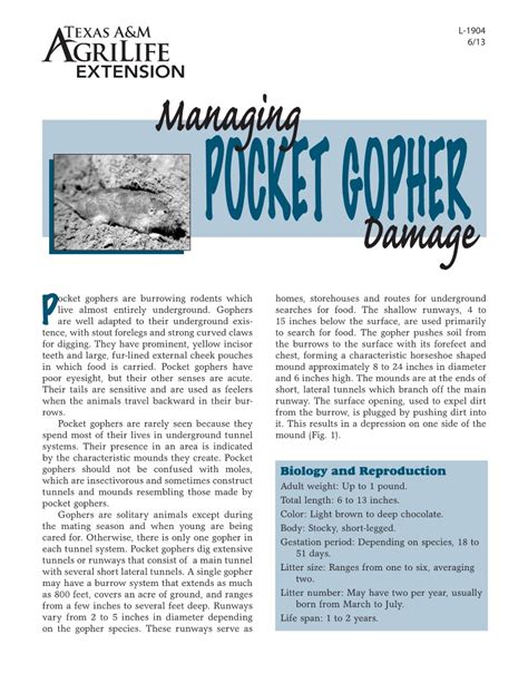 Managing Pocket Gopher Damage | Publications | AgriLife Learn