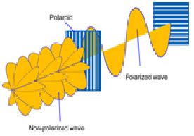 WHAT IS POLARIZATION OF EM WAVES | Biyani Group of Colleges