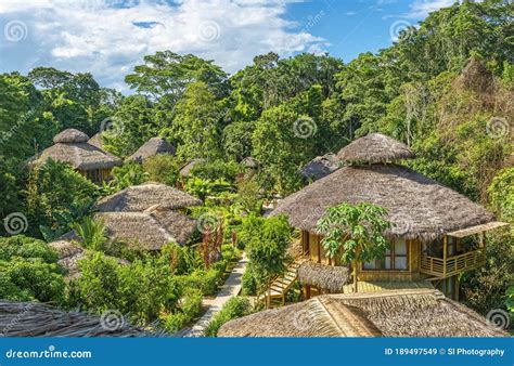 Amazon Rainforest Lodge Fog, Ecuador Stock Image - Image of adventure ...