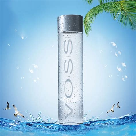 2018new Product Voss Water Bottle 16oz 18oz 500ml Drinking Glass Bottle ...