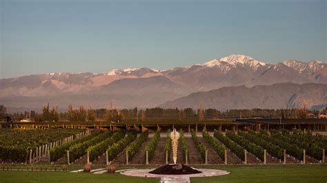 Lujan de Cuyo Wine Tour - Wine tasting, Lunch and Private Guide