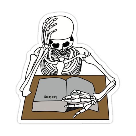 "Anatomy skeleton" Sticker for Sale by Mermaidssparkle | Cute laptop ...