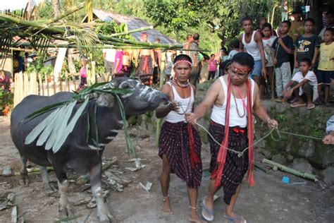 8 Unique Traditions of Sumba Community | Authentic Indonesia Blog