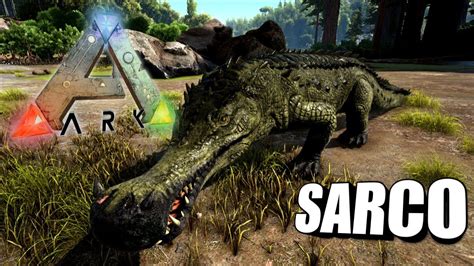 Taming A Sarco | Ark Survival Evolved | The Island - YouTube