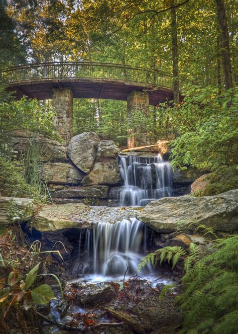 Garvan Botanical Gardens Hot Springs Arkansas - Beautiful Insanity