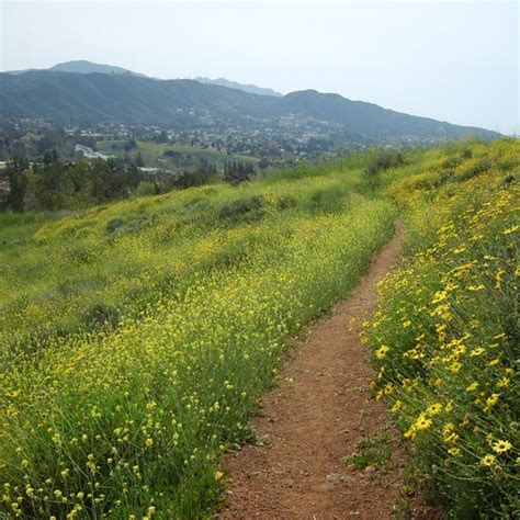 Conejo Valley Botanic Garden - Thousand Oaks, CA