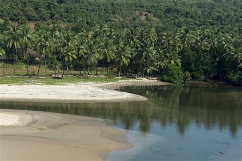 Backwaters and Coconut Lagoon at Nivti Beach Stock Image - Image of ...